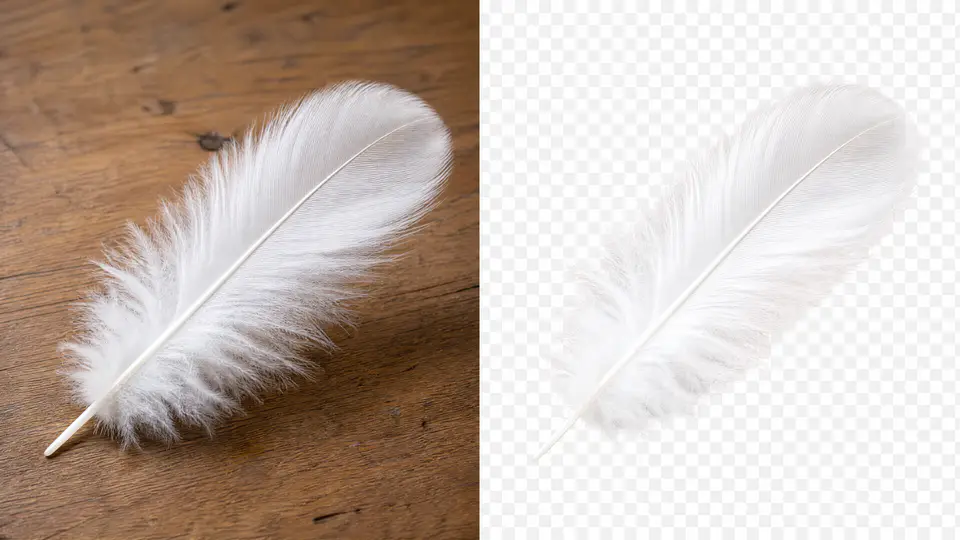 Remove the background of a photo in 10 seconds: a quick guide to cutout